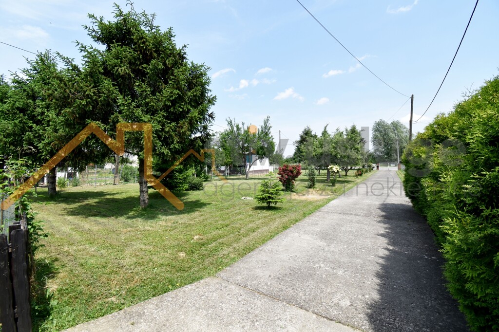 Image 6101615 - 1
