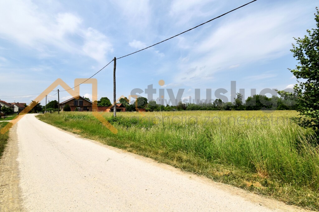 Image 6101617 - 1