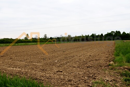 Thumbnail 6101623 - 5