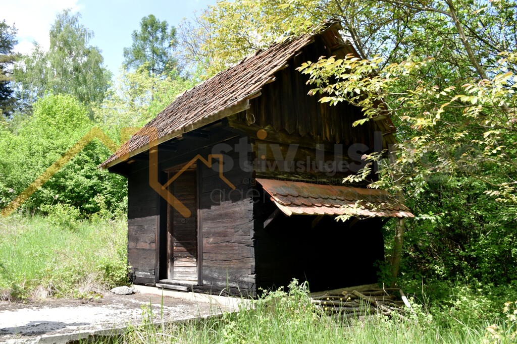 Image 6101625 - 2