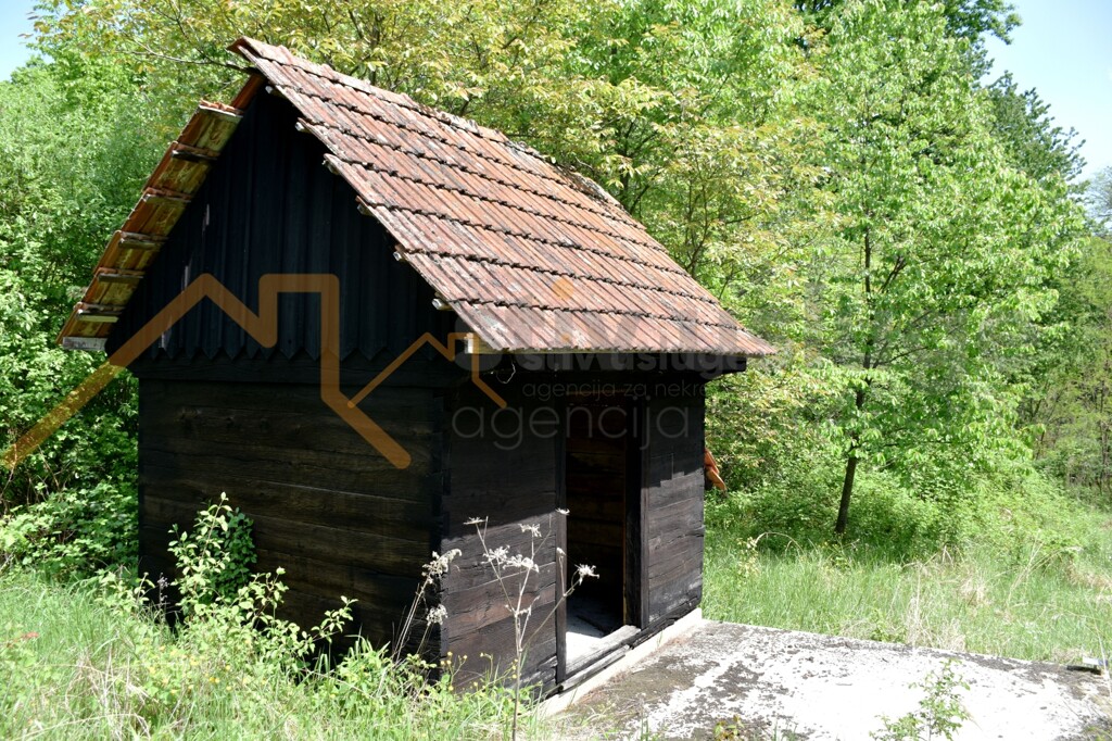 Image 6101625 - 1