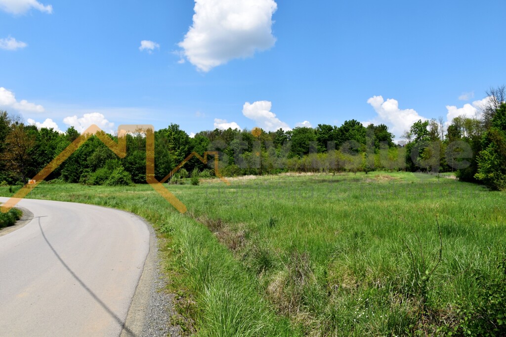 Image 6101626 - 2