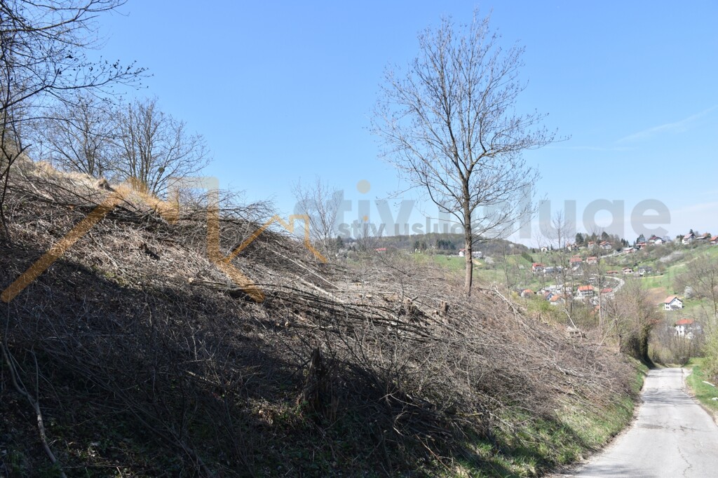 Image 6101628 - 3