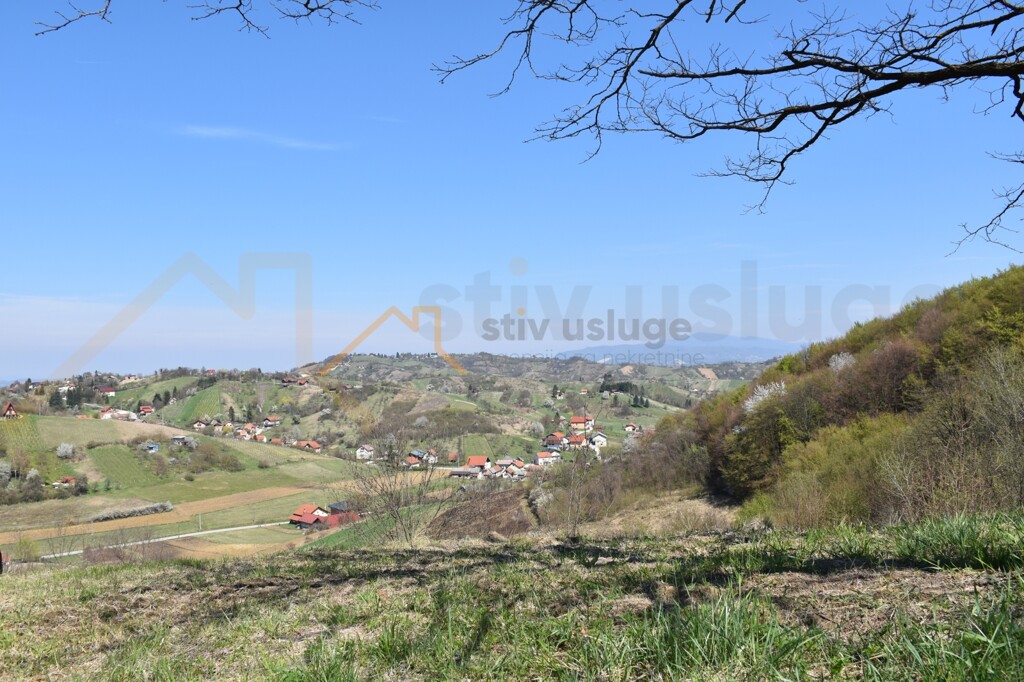 Image 6101628 - 6