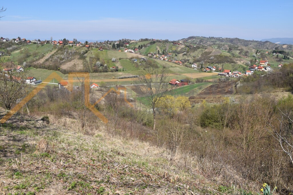 Image 6101628 - 1