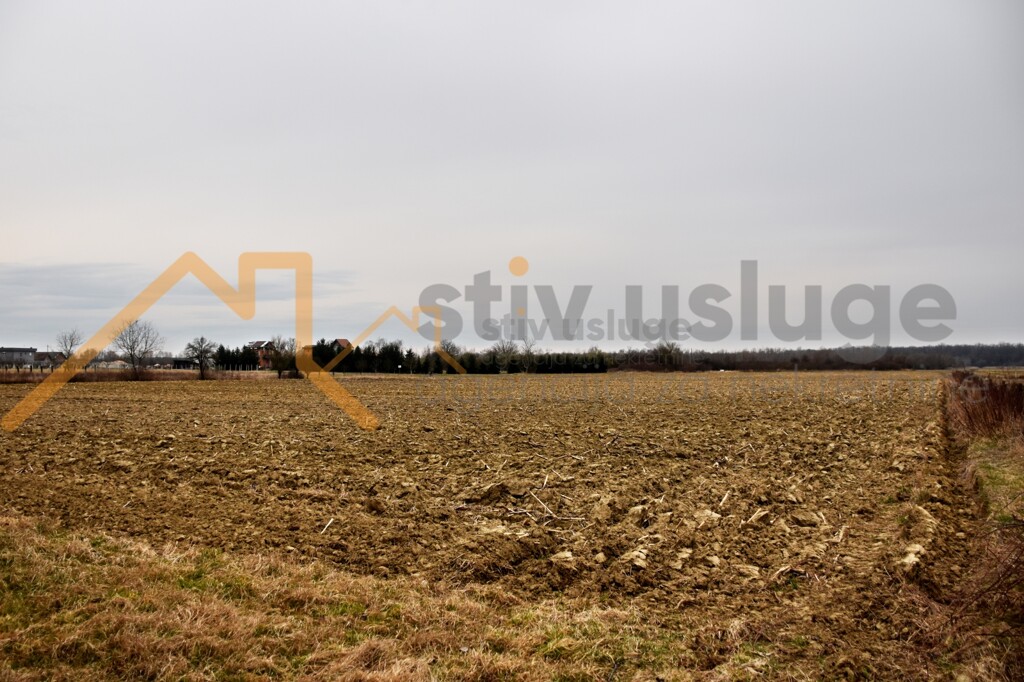 Image 6101631 - 11
