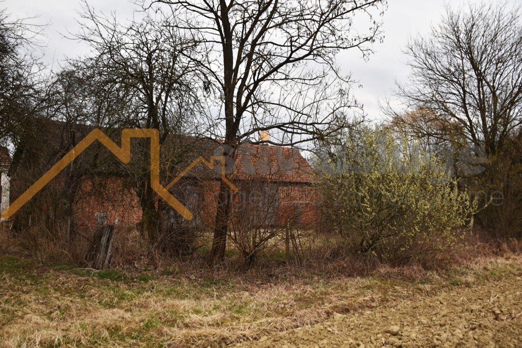 Image 6101631 - 8