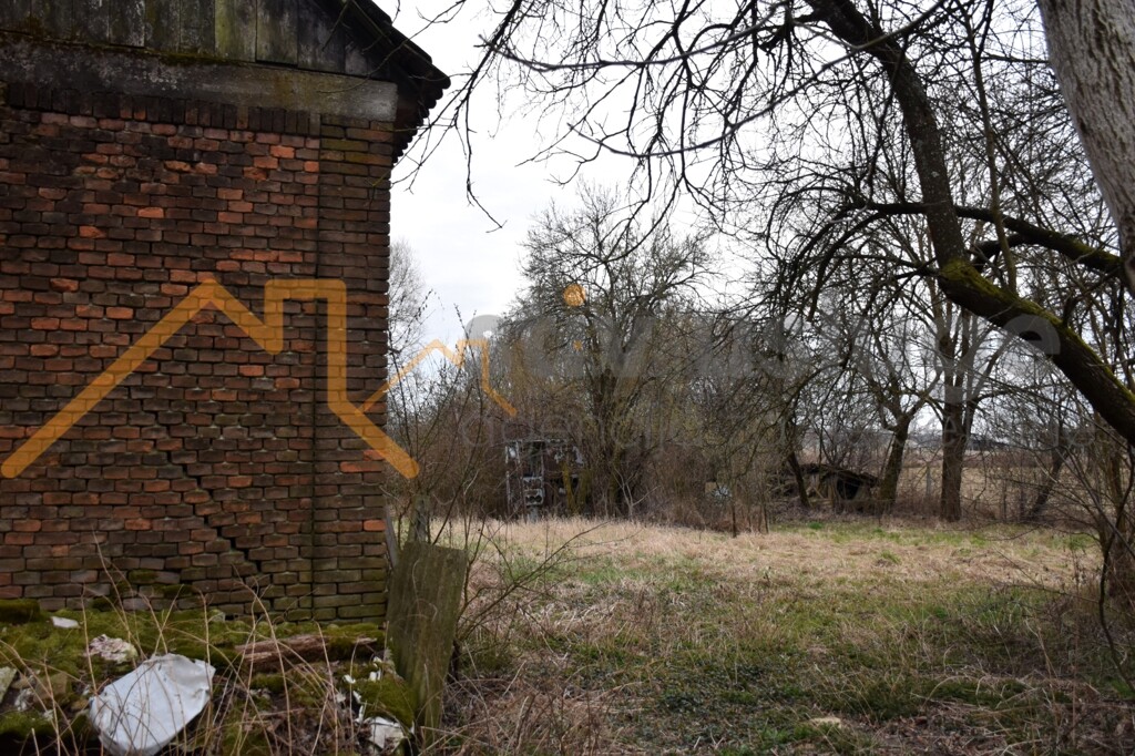 Image 6101631 - 7
