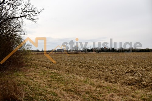 Thumbnail 6101631 - 10