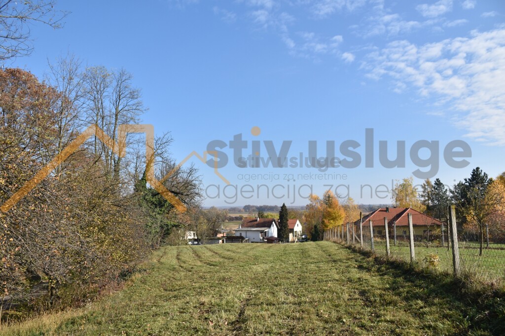 Image 6101644 - 1
