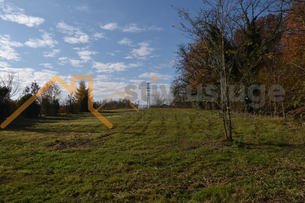 Image 6101644 - 2