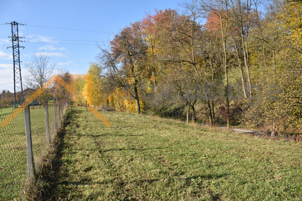 Image 6101644 - 3