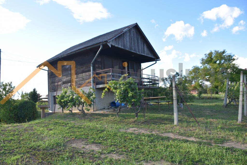 Image 6101655 - 3