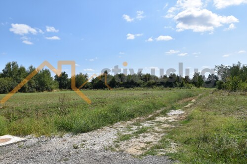 Thumbnail 6101656 - 5