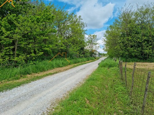 Thumbnail 6101665 - 4