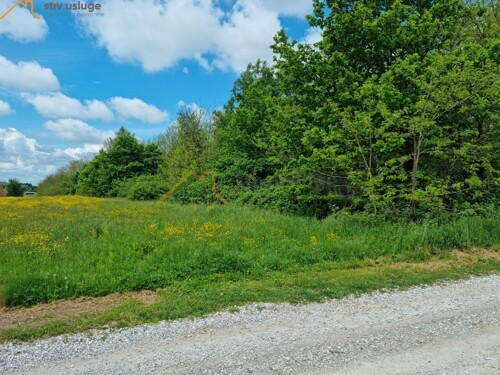 Thumbnail 6101665 - 5
