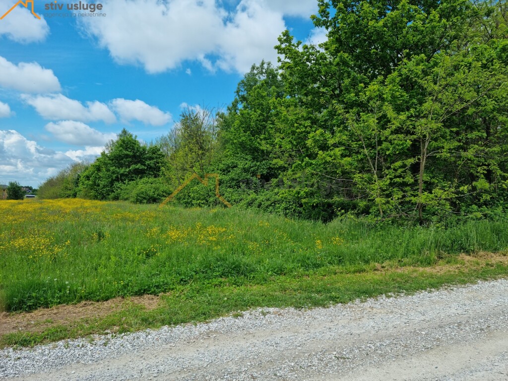 Image 6101665 - 5