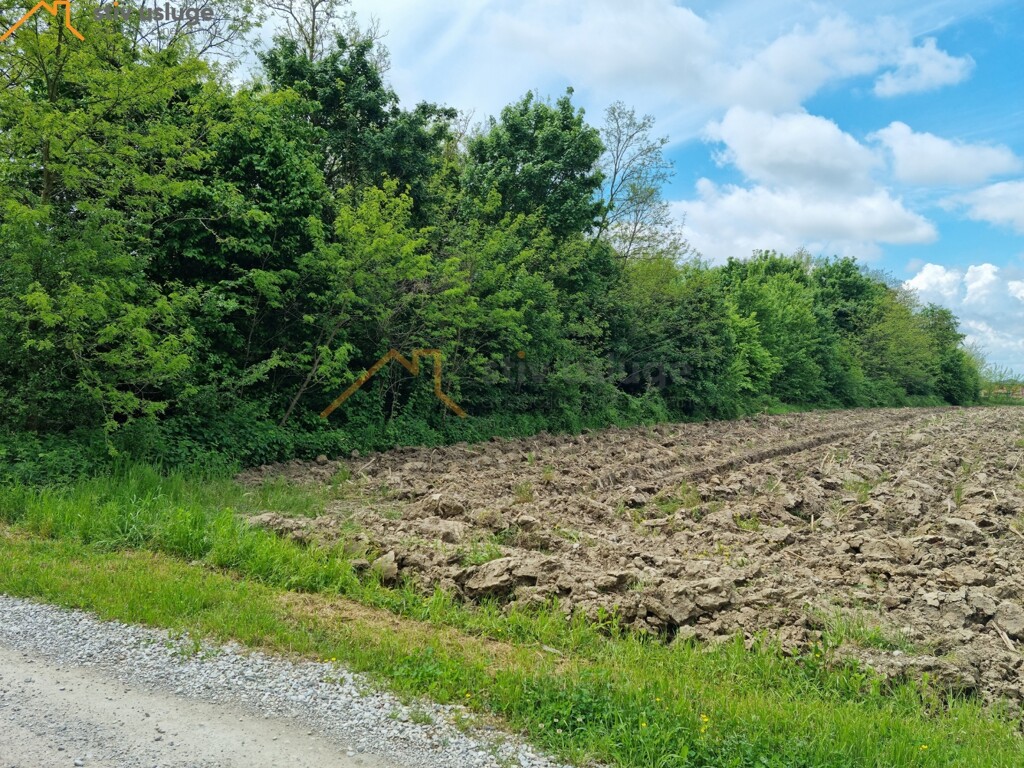 Image 6101665 - 6