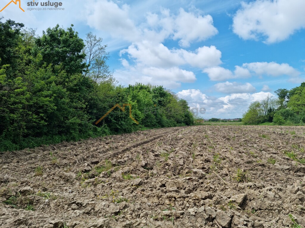 Image 6101665 - 3