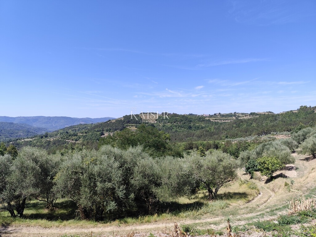 Image 6101793 - 4