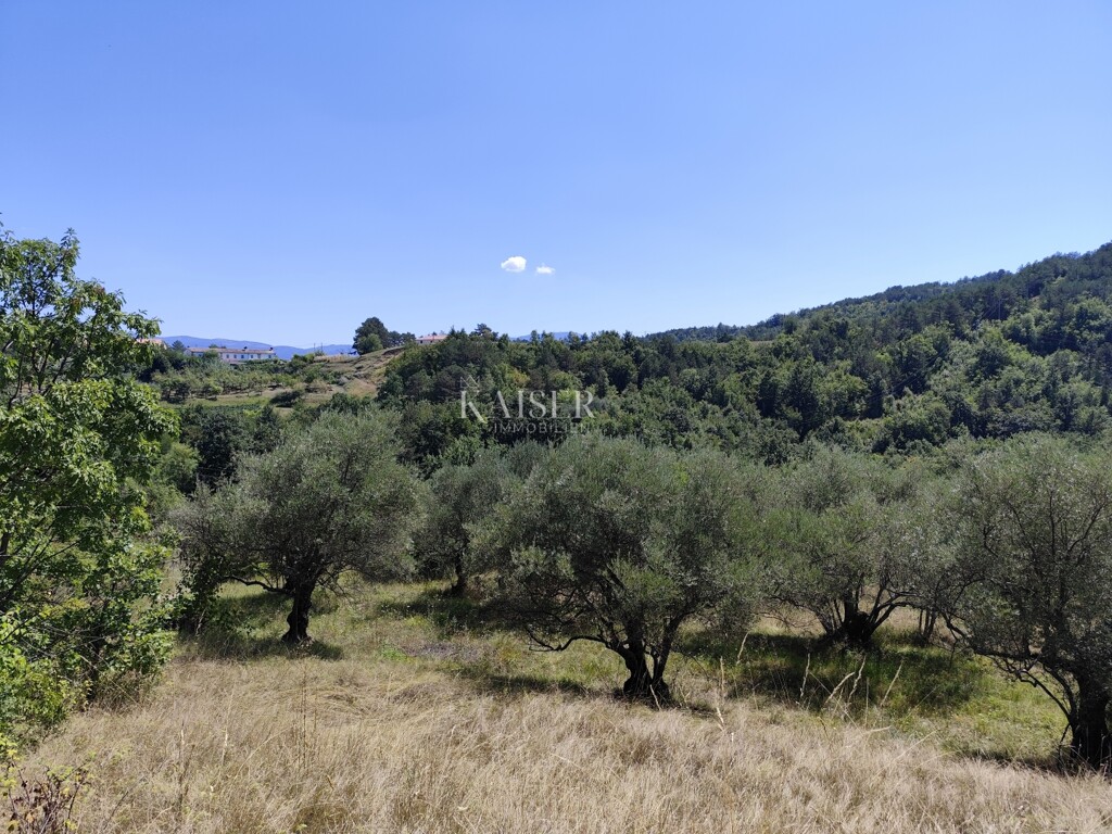 Image 6101794 - 2