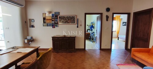 Thumbnail 6101857 - 5