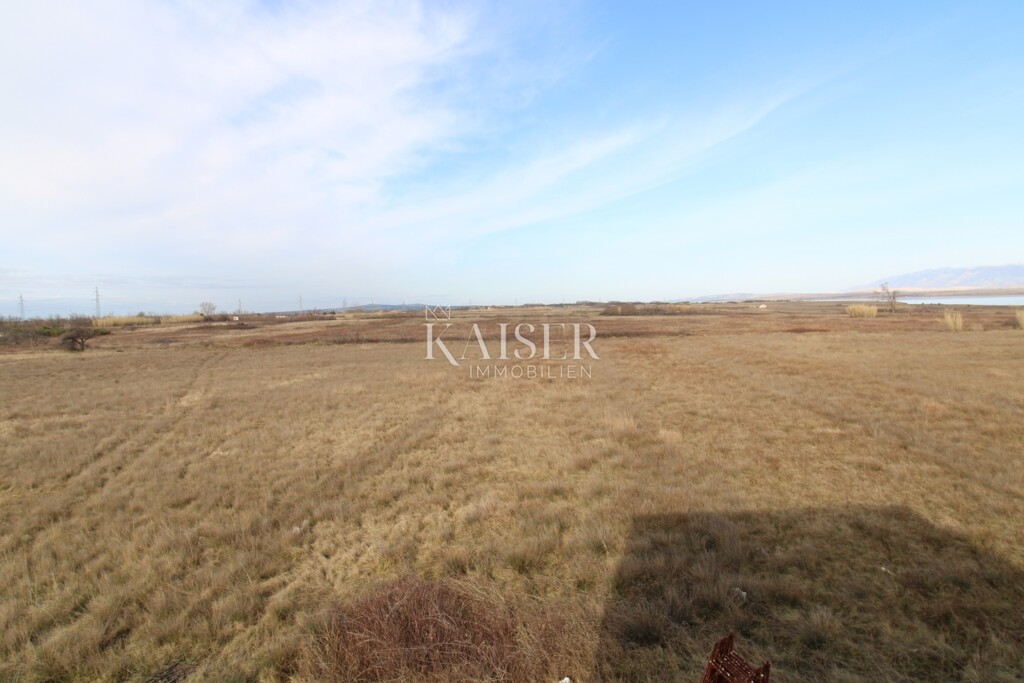 Image 6101859 - 6