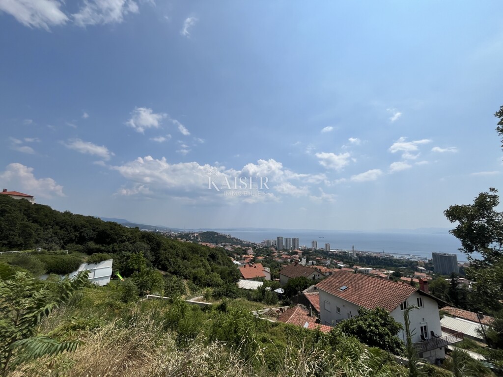 Image 6101868 - 1