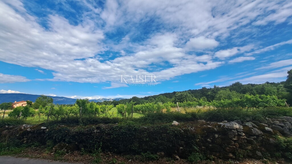 Image 6101872 - 1
