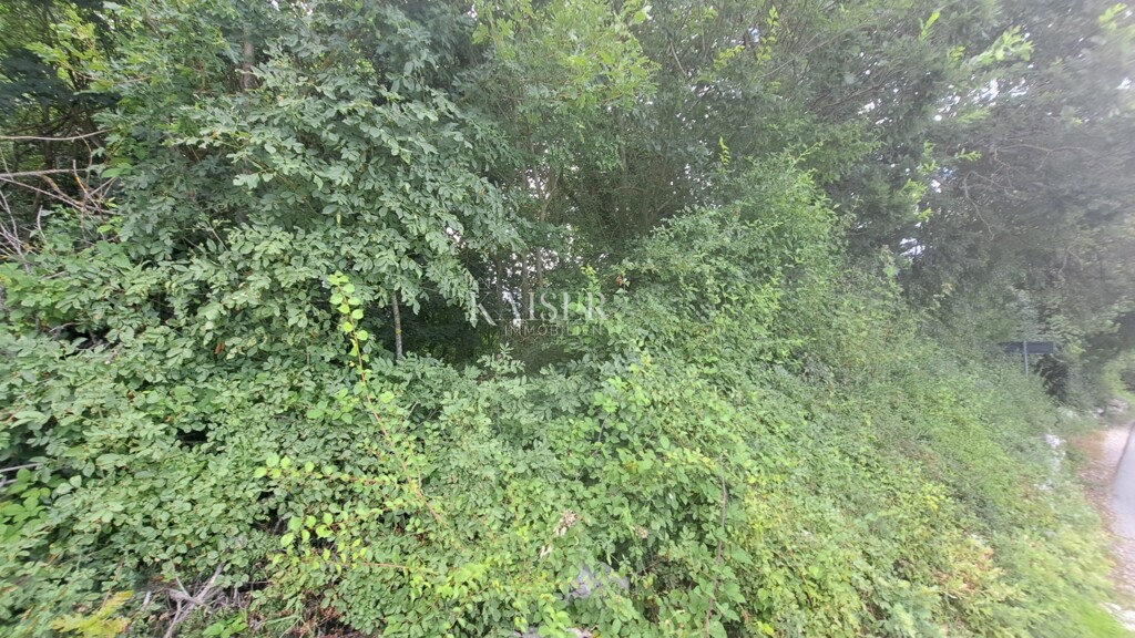 Image 6101872 - 2
