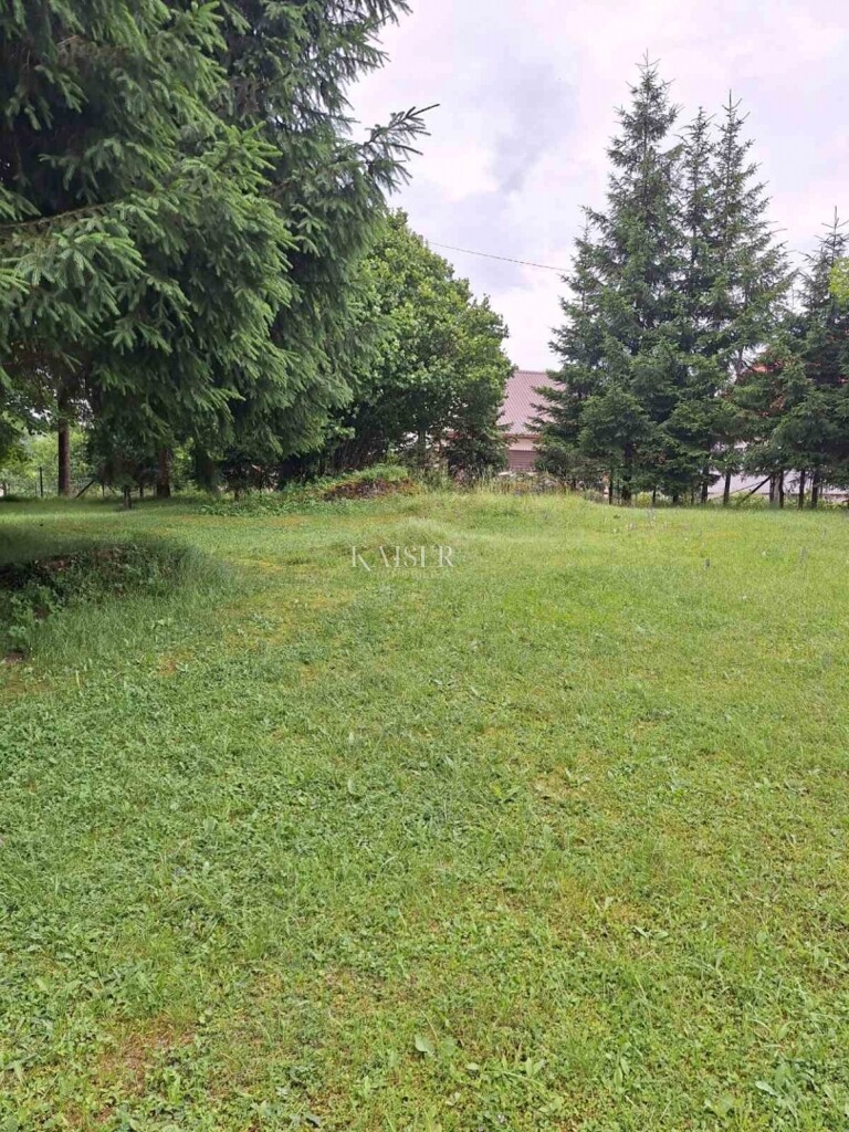 Image 6101879 - 4