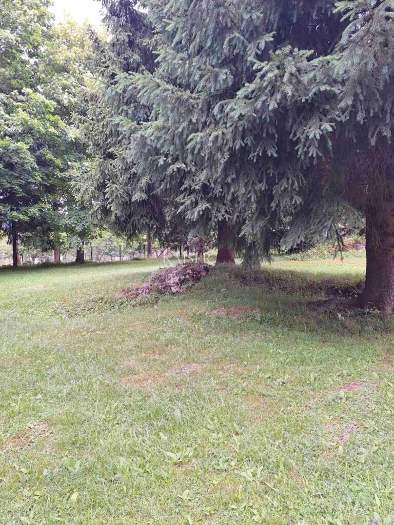 Image 6101879 - 3