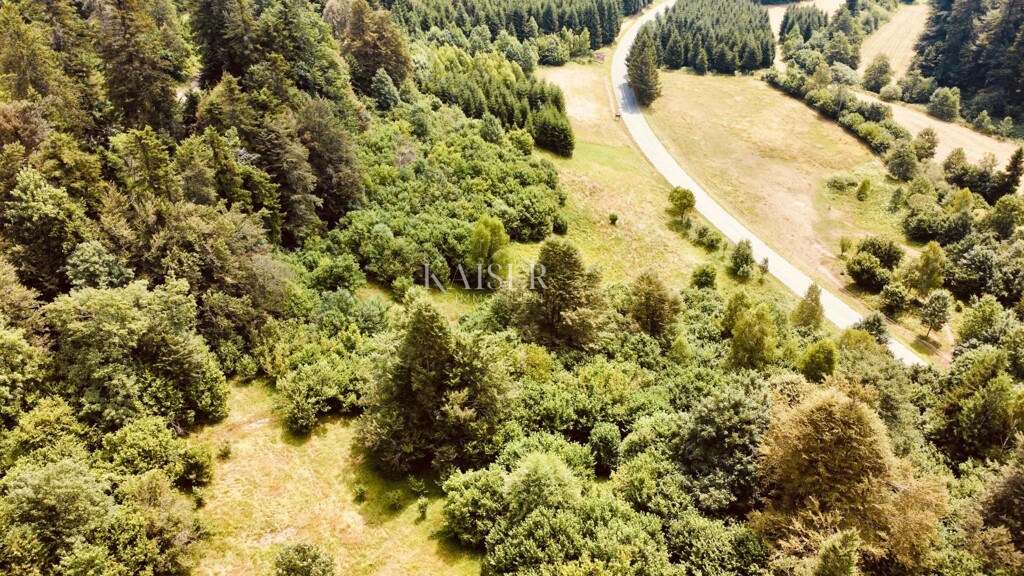 Image 6101882 - 5