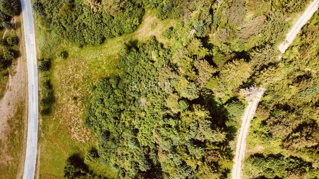 Image 6101882 - 6