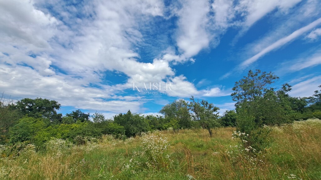 Image 6101883 - 13