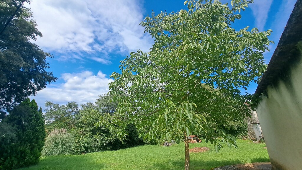 Image 6101883 - 7