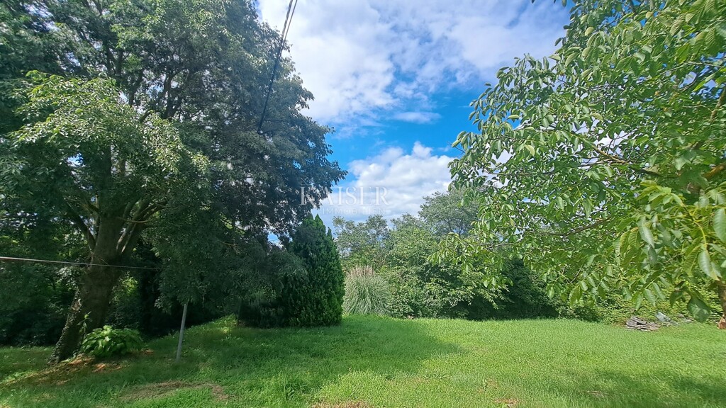 Image 6101883 - 10