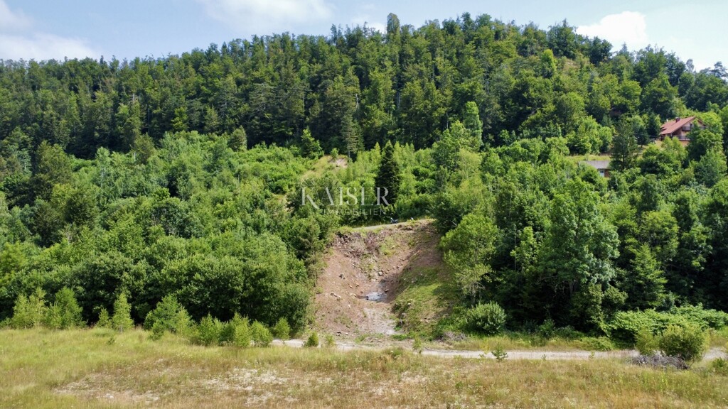 Image 6101884 - 7