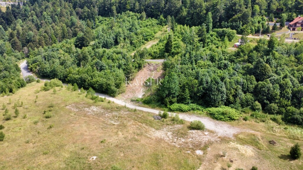 Image 6101884 - 6