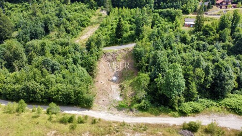 Thumbnail 6101884 - 4