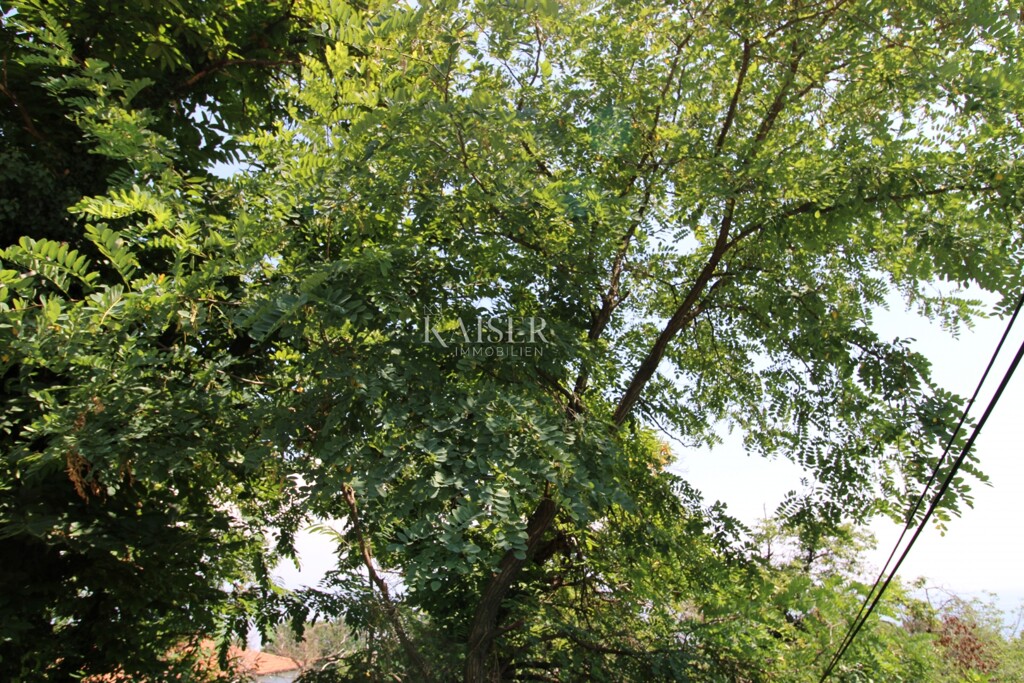 Image 6101885 - 2