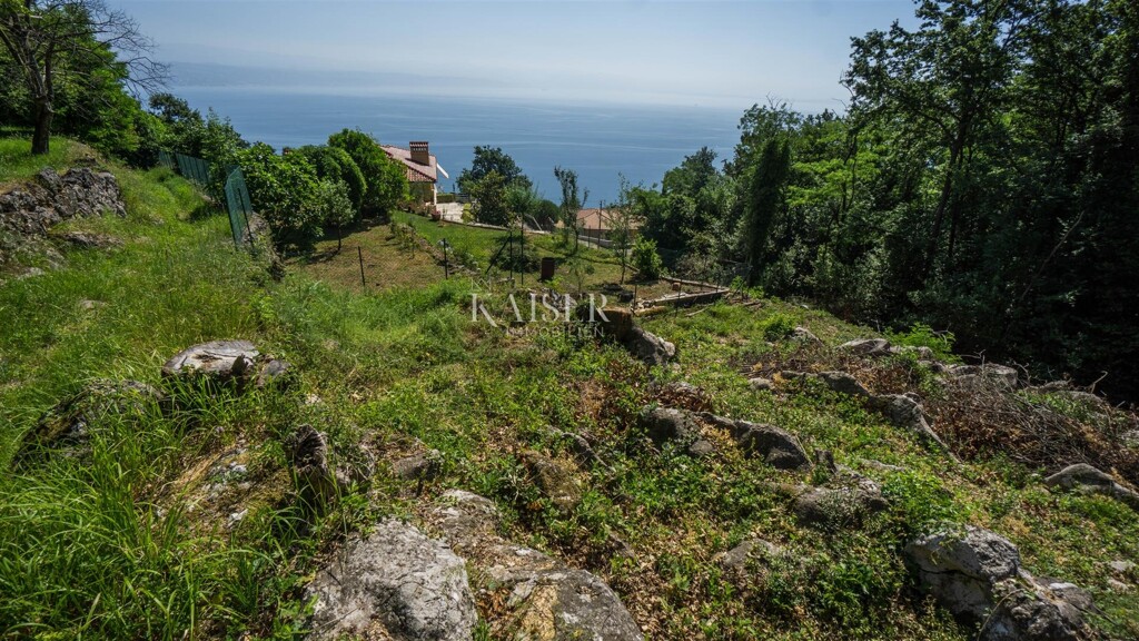 Image 6101897 - 3