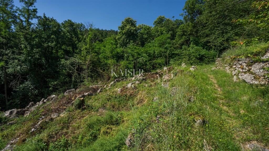 Image 6101897 - 4
