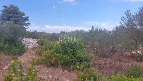 Dugi otok, Sali-građevinsko zemljište sa maslinama i pogledo