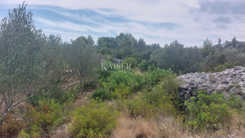 Image 6101917 - 4
