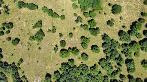 Thumbnail 6101924 - 12