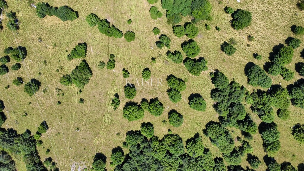 Image 6101924 - 12