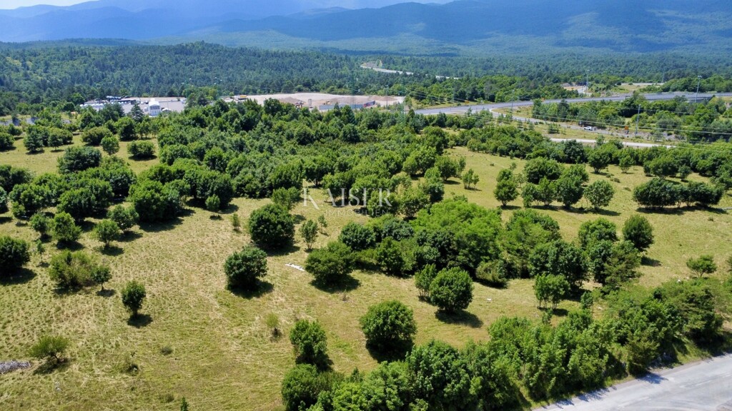 Image 6101924 - 8