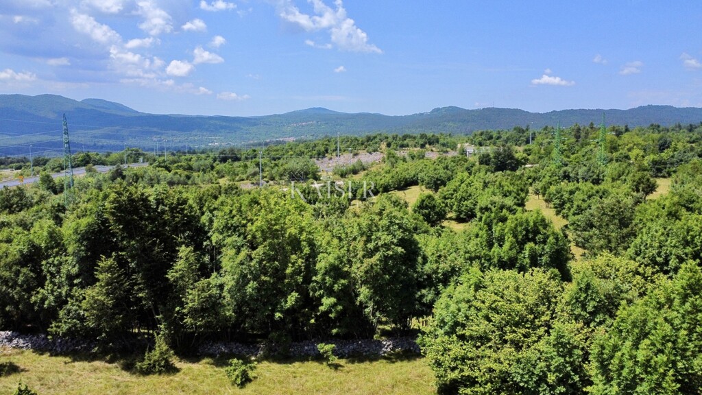 Image 6101924 - 20
