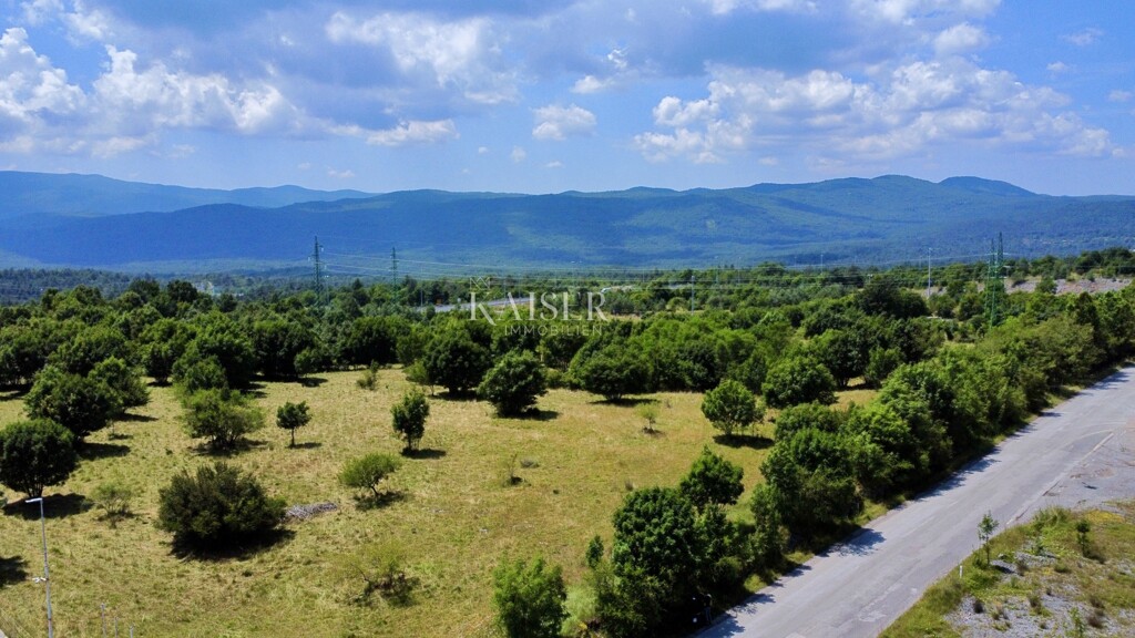 Image 6101924 - 7